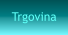 Trgovina